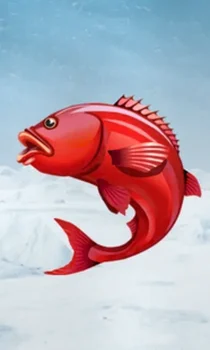 Ice Fishing